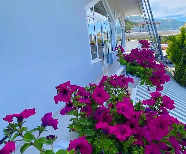 Hotel Colosseo Hotel Vlorë
